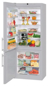 katangian, larawan Refrigerator Liebherr CNesf 5013