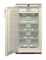 katangian, larawan Refrigerator Liebherr GSN 2023