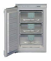 katangian, larawan Refrigerator Liebherr GI 1023