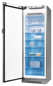đặc điểm, ảnh Tủ lạnh Electrolux EUF 29405 X