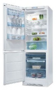 katangian, larawan Refrigerator Electrolux ERB 34402 W