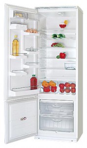 katangian, larawan Refrigerator ATLANT ХМ 5011-016