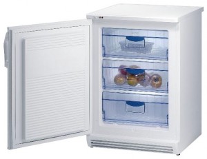 ลักษณะเฉพาะ, รูปถ่าย ตู้เย็น Gorenje F 6101 W