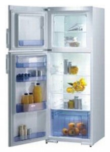 đặc điểm, ảnh Tủ lạnh Gorenje RF 61301 W