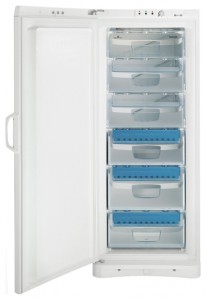 đặc điểm, ảnh Tủ lạnh Indesit UFAN 300