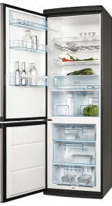 katangian, larawan Refrigerator Electrolux ERB 36033 X