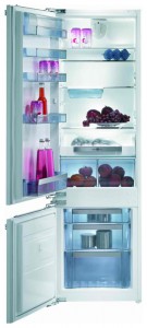Характеристики, фото Холодильник Gorenje RKI 55295