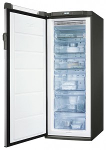 ลักษณะเฉพาะ, รูปถ่าย ตู้เย็น Electrolux EUF 20430 X