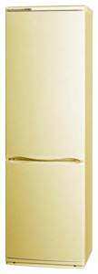 katangian, larawan Refrigerator ATLANT ХМ 6026-081