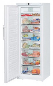 đặc điểm, ảnh Tủ lạnh Liebherr GNP 3376