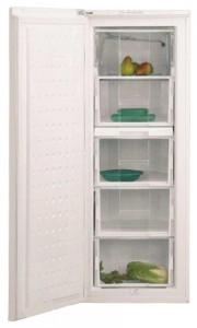 katangian, larawan Refrigerator BEKO FSE 21920