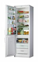 đặc điểm, ảnh Tủ lạnh Snaige RF360-1501A
