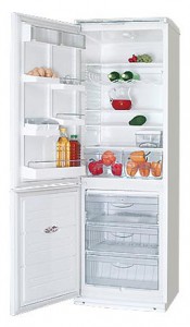 katangian, larawan Refrigerator ATLANT ХМ 6019-001