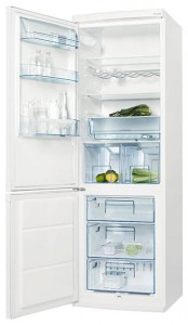 đặc điểm, ảnh Tủ lạnh Electrolux ERB 36233 W
