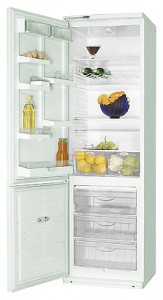 katangian, larawan Refrigerator ATLANT ХМ 6024-052