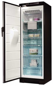 характеристики, Фото Холодильник Electrolux EUFG 2900 X