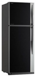 đặc điểm, ảnh Tủ lạnh Toshiba GR-RG59FRD GU