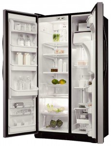 đặc điểm, ảnh Tủ lạnh Electrolux ERL 6296 SK