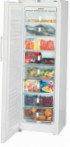 Liebherr GNP 3056 Fridge freezer-cupboard, 304.00L