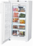 Liebherr GN 2613 Fridge freezer-cupboard, 258.00L