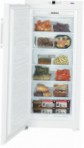 Liebherr GN 3113 Fridge freezer-cupboard, 307.00L